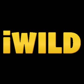 iWild kasyna online kryptowaluty